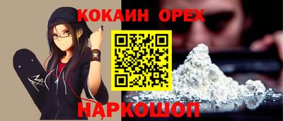 шишки Изобильный