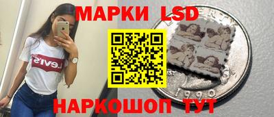 шишки Изобильный