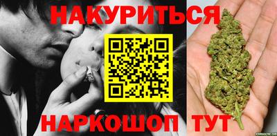 шишки Изобильный