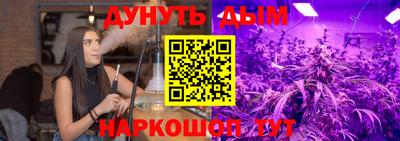 шишки Изобильный