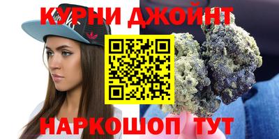 шишки Изобильный
